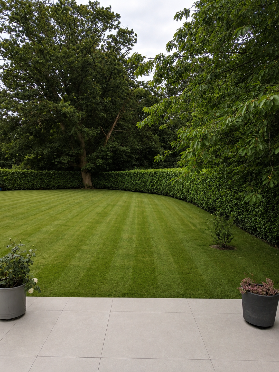 Precision Lawn Stripes & Garden Care